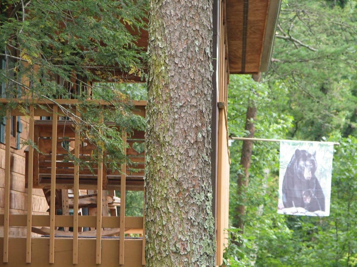 Sunset Ridge Cabin Pigeon Forge Buitenkant foto