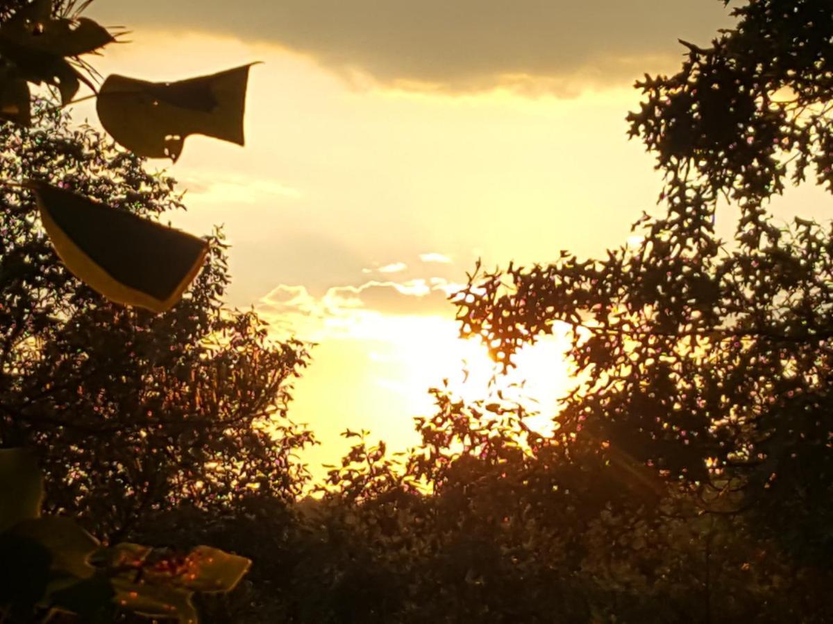 Sunset Ridge Cabin Pigeon Forge Buitenkant foto